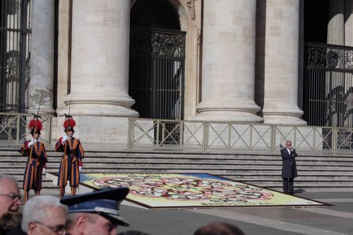 I maestri Infioratori liguri hanno realizzato un infiorata davanti alla Basilica di San Pietro in Vaticano