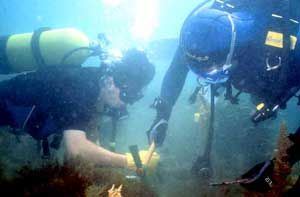 Attività di archeologia subacquea organizzata dall'associazione Siciliantica