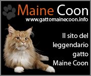 Il sito del gatto Maine Coon
